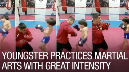 Size isn't everything. Nobody is going to mess with this ferocious tyke.