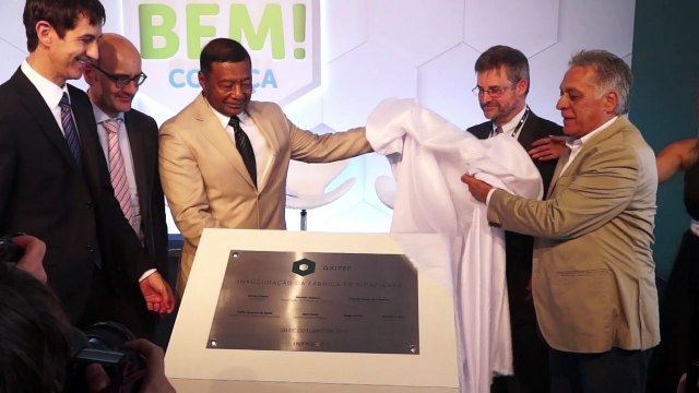 Brasil alista mosquitos transgénicos contra dengue y zika