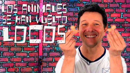 ¡Animales locos! TituVeos