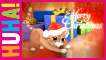 A Merry Christmas Message From a Cute Cat!
