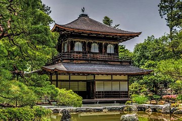 강남립카페 답십리오피방 밤전