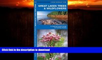 READ BOOK  Great Lakes Trees   Wildflowers: A Folding Pocket Guide to Familiar Species (Pocket