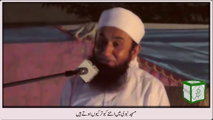 Masjid main kabootar kiun hote hain by Maulana Tariq Jameel