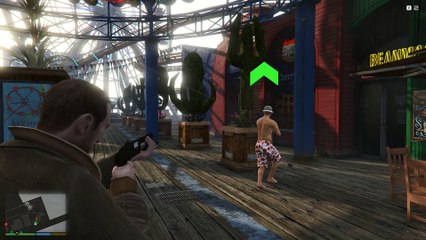 GTA V - Team Up mod (with Niko Bellic)