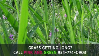 Lauderhill Lawn Maintenance | Pink and Green Lawn Care and Landscape