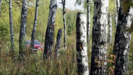 Московская борзая 2015  13 серия