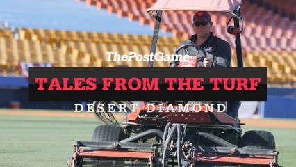 Tales From the Turf: Desert Diamond