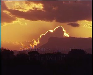 THE MEANEST ANIMAL IN THE WORLD