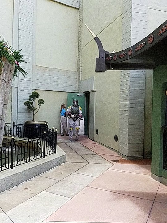 The Dark Side Entrance