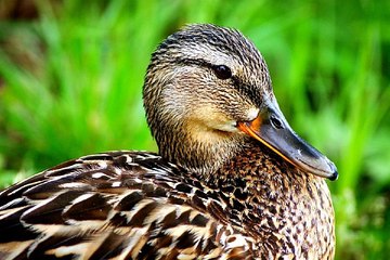 광주키스방 BamWar007.com 이벤트 참여하기