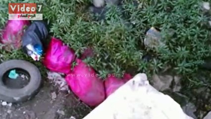 مصرف جاف بالمنوفية يتحول مصدر للأوبئة بسبب المخلفات الطبية