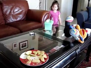 Funny Toddler blames mess on her Sister