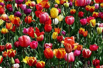 강북휴게텔 BamWar007.com 최저가격 찾아보기