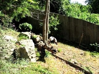 Tai scratches an itch