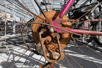 세종오피 BamWar007.com 국내 최대정보 보유