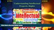 Big Deals  Understanding Intellectual Property Rights  Best Seller Books Most Wanted
