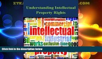 Big Deals  Understanding Intellectual Property Rights  Best Seller Books Most Wanted