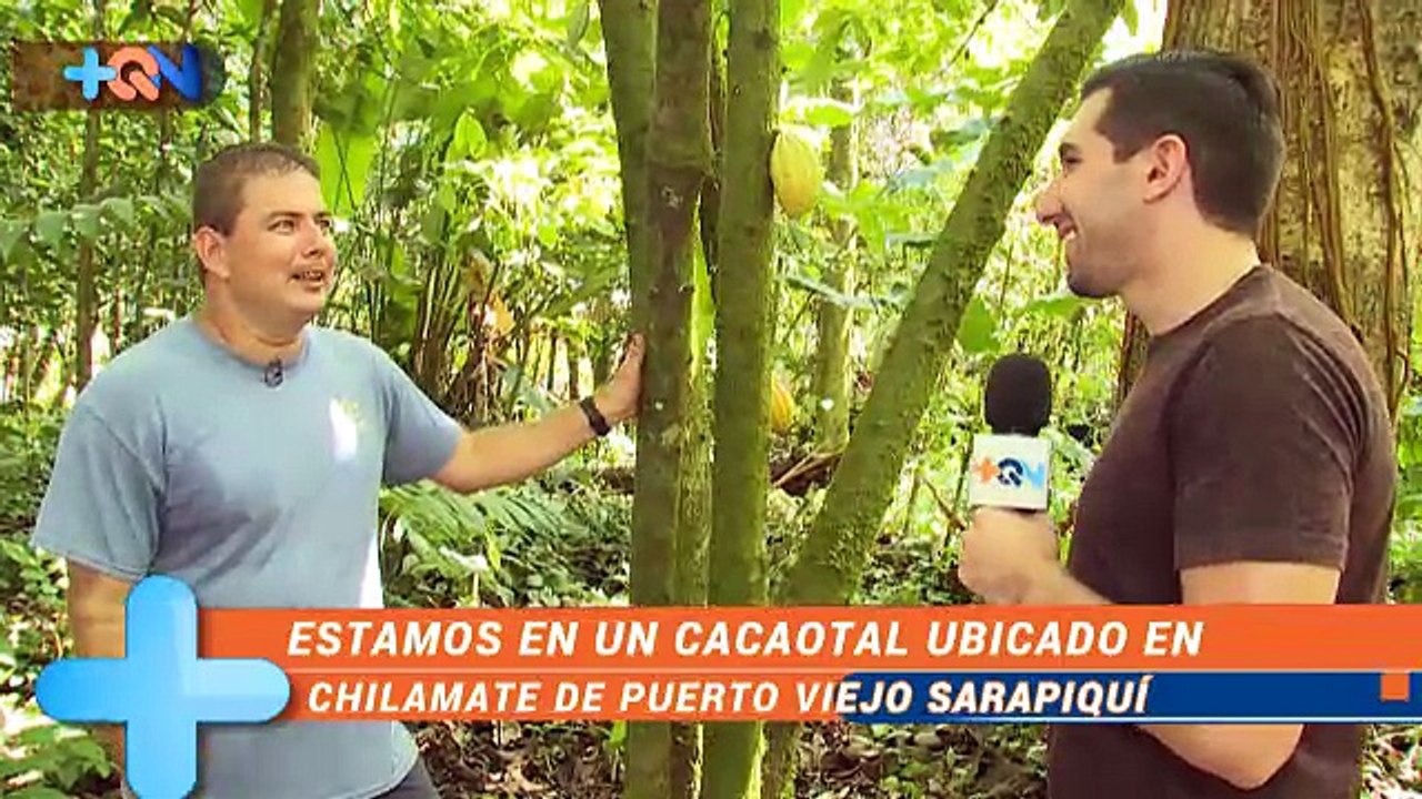 +QN 27 Octubre 2016