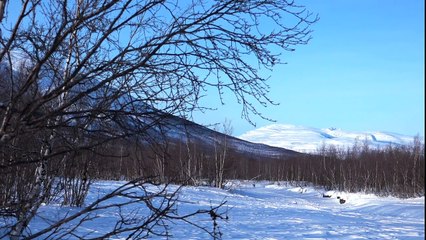 Super-exciting Winter Activities in Abisco