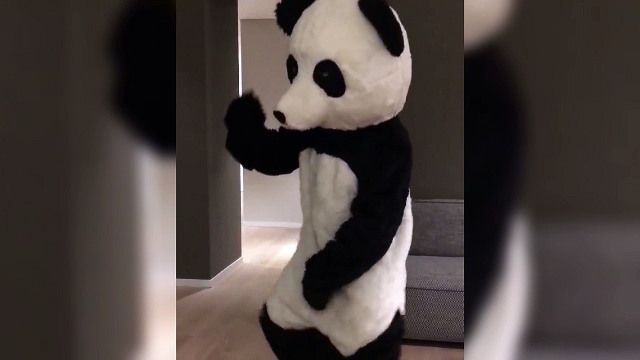 Patrice Evra danse déguisé en... Panda !!