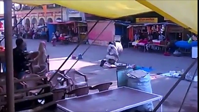 Attaque d'un buffle fou sur une vielle dame avec ses cornes en Inde sur un marché