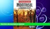 READ BOOK  Insight Guides Montreal   Quebec City (Insight City Guide Montreal) FULL ONLINE