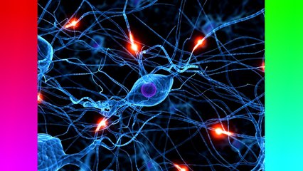 Top 10 Facts: The Human Body // QuickTops