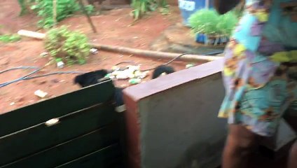 Manequin Challenge kkkk