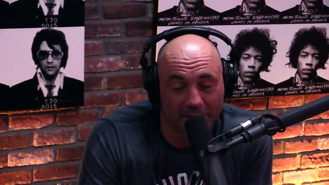 Joe Rogan & Joey Diaz on Curves and Gym Girls