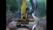 Des ouvriers découvrent un anaconda de 10 mètres de long !
