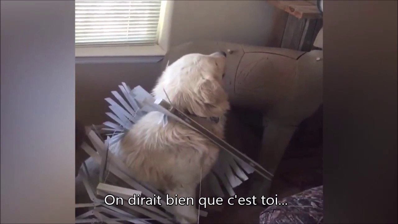 Mais qui a bien pu arracher le store... Mystère difficile à résoudre? Pas tant que ça!