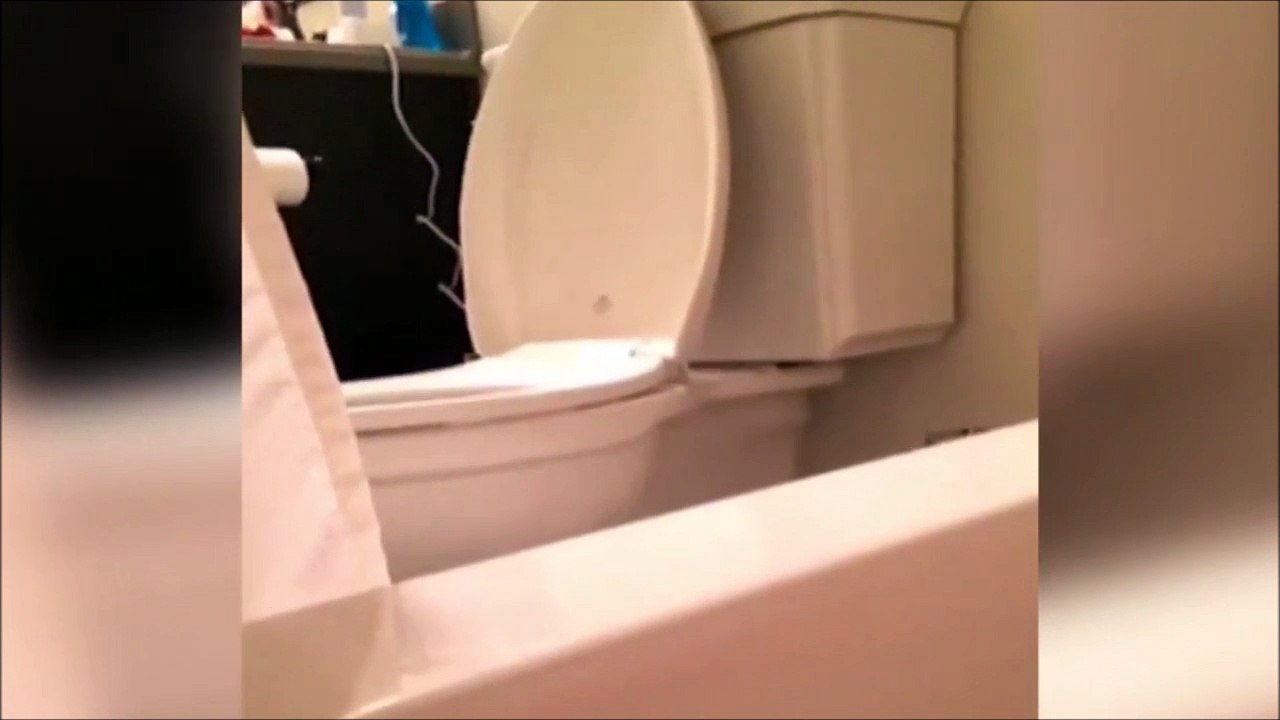 Quand tu peux pas passer 2 sec tranquilles à cause de tes chiens