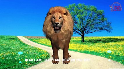 Horse Finger Family 3D | Animals Cartoon Finger Family | 3D Animation Learning Sounds