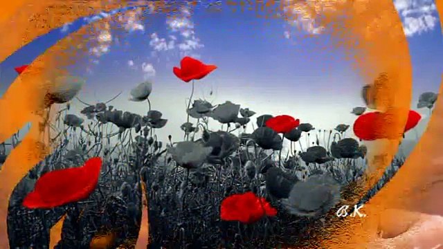 ❤ Lady, Lady ❤ Frans Bauer-FpJwTnq9918-HQ