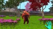 Finger Family White Bear Vs Brown Bear Cartoon for Children | Bear Finger Family Rhymes for Kids