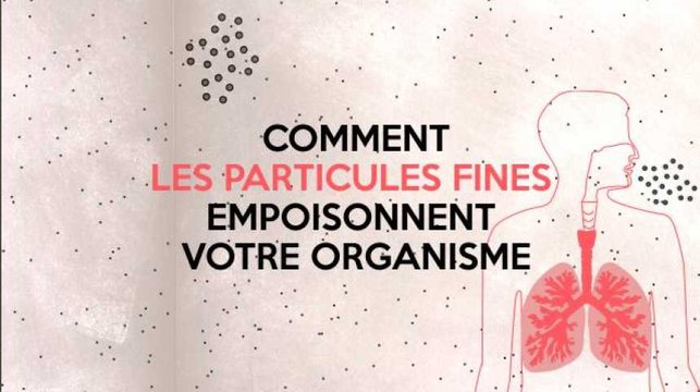 Comment les particules fines empoisonnent votre organisme