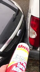 Un femme colle la camionnette d’un ouvrier et veut pas bouger sa voiture