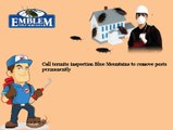 Termite Control Blue Mountains|Termite Inspection Blue Mountains