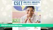 Read Book CSET Multiple Subjects Plus Writing Skills w/CD-ROM (CSET Teacher Certification Test