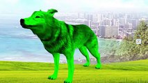 3D Wolf Colours Songs | Colours Song For Children | Fun Colours Rhymes For Children | Colors Wolf