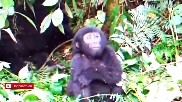 Best selection of jokes July | Приколы Под Пивко | Лучшая подборка приколов Июль 2016