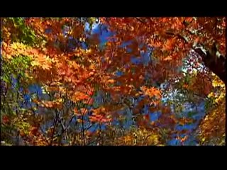 O Solo   Parte 1de 2 (Documentário)