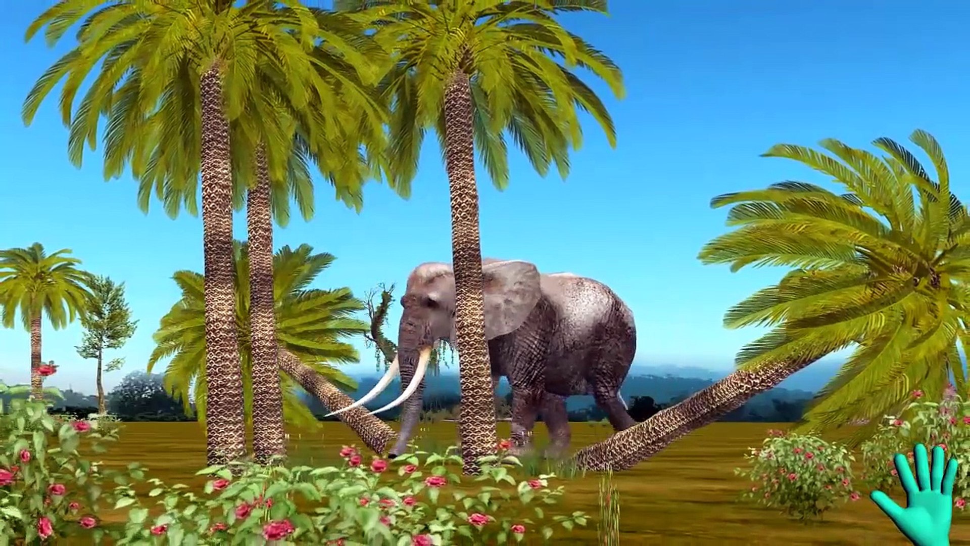 Colors Elephant Finger Family Collection | Family Finger Elephant | Animal Finger Family For Kids