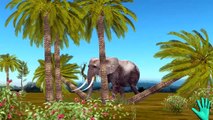 Colors Elephant Finger Family Collection | Family Finger Elephant | Animal Finger Family For Kids