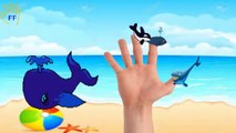 Sea Animals Killer Whale Finger Family Nursery Rhymes Songs | Whale Finger Family For Children Songs