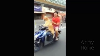 ПРИКОЛЫ 2016 Октябрь #6 жесть угар прикол - ПРИКОЛЮХА