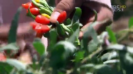 황하黃河 - 01부 중국을 깨우다