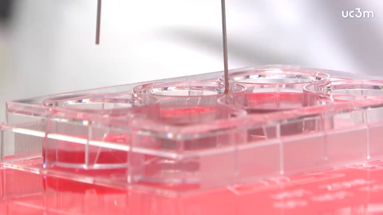 Esta impresora 3D fabrica piel humana completam...