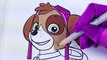 Paw Patrol Skye Coloring Page! Fun Coloring Activity for Kids Toddlers Children