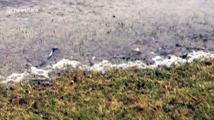 Nor'easter brings severe flooding inland in New Jersey